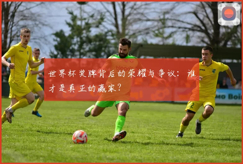 世界杯奖牌背后的荣耀与争议：谁才是真正的赢家？