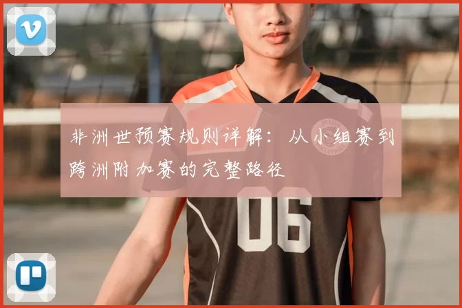 非洲世预赛规则详解:从小组赛到跨洲附加赛的完整路径