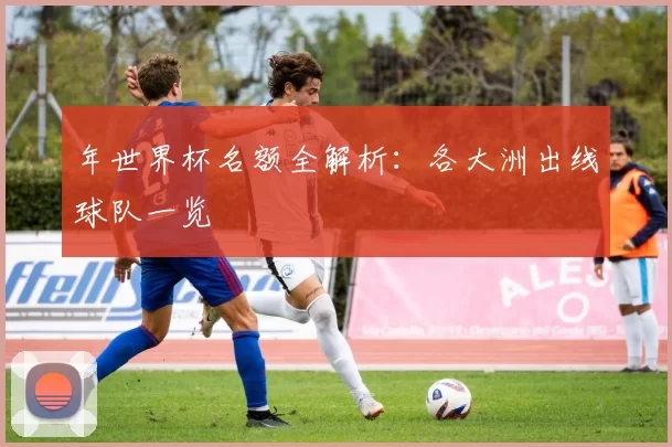 年世界杯名额全解析:各大洲出线球队一览