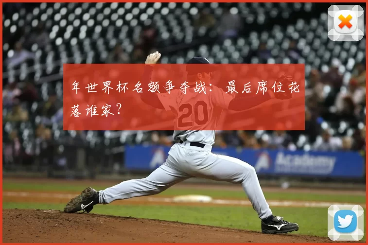 年世界杯名额争夺战:最后席位花落谁家?