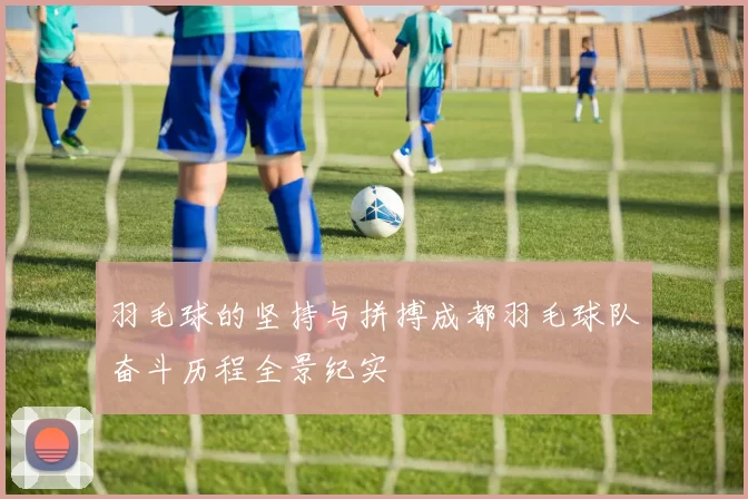 羽毛球的坚持与拼搏成都羽毛球队奋斗历程全景纪实