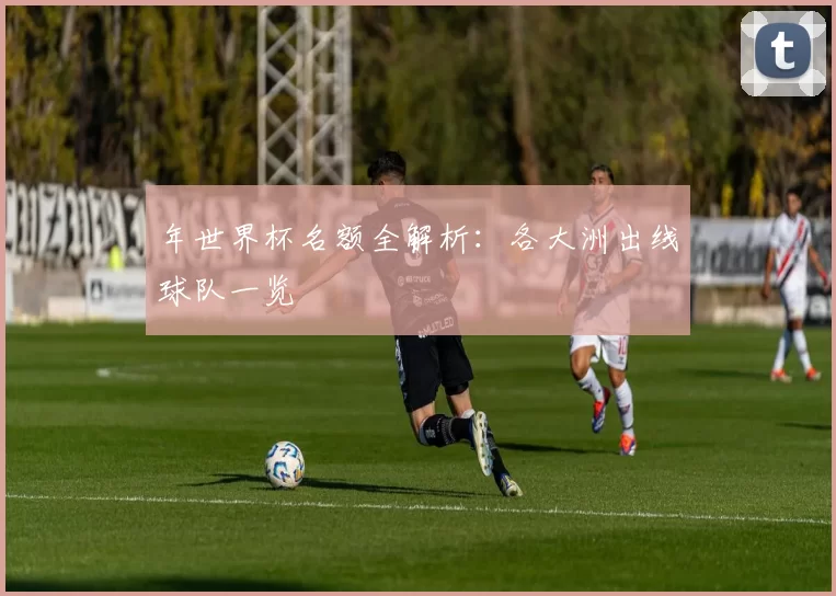 年世界杯名额全解析:各大洲出线球队一览