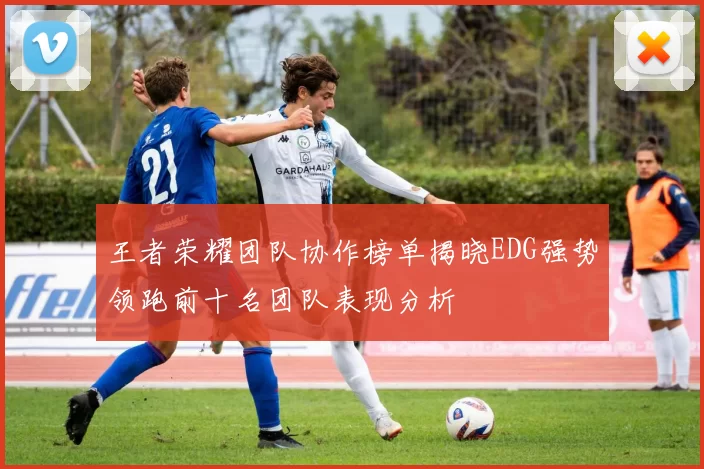 王者荣耀团队协作榜单揭晓EDG强势领跑前十名团队表现分析