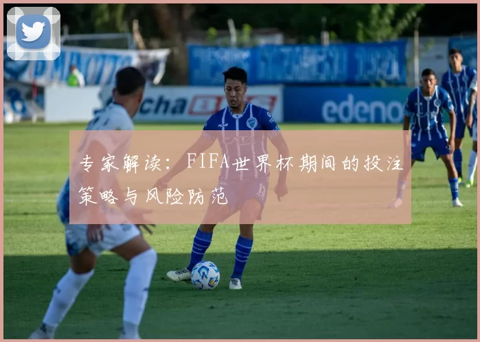 专家解读:FIFA世界杯期间的投注策略与风险防范