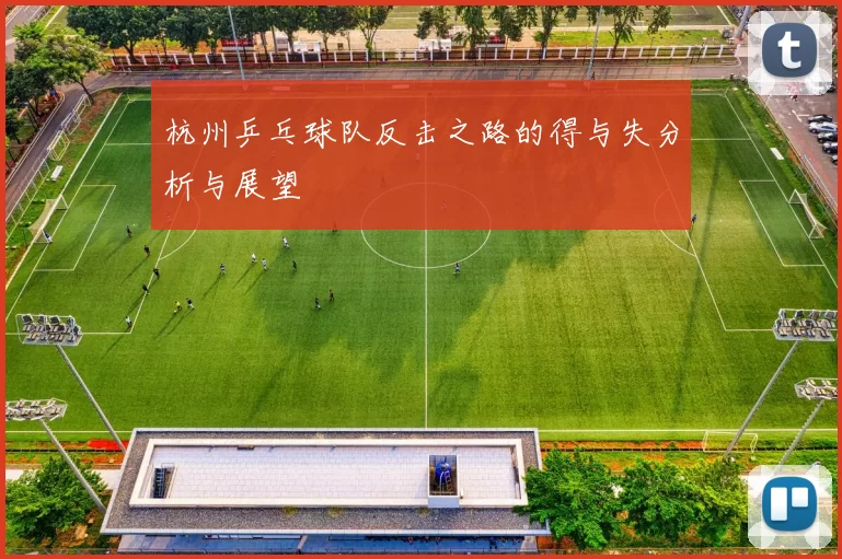 杭州乒乓球队反击之路的得与失分析与展望