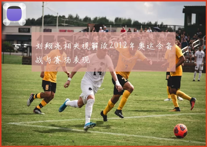 刘翔亮相央视解读2012年奥运会备战与赛场表现