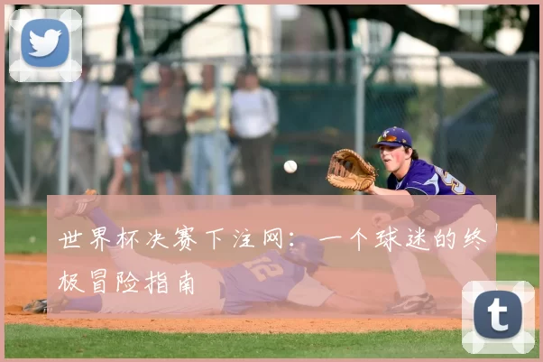 世界杯决赛下注网:一个球迷的终极冒险指南