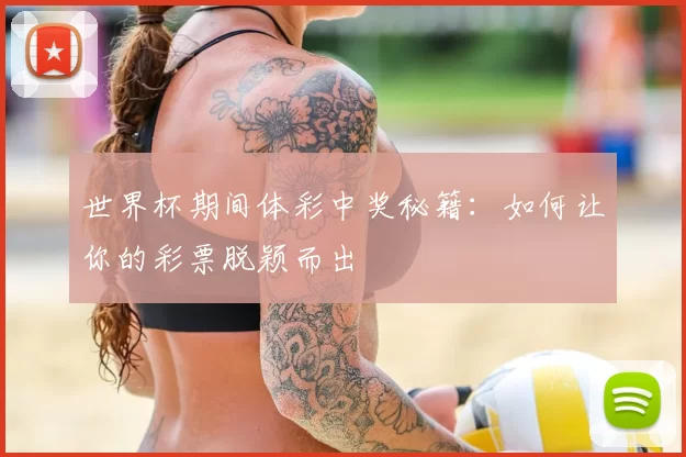 世界杯期间体彩中奖秘籍：如何让你的彩票脱颖而出