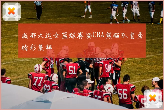 成都大运会篮球赛场CBA熊猫队首秀精彩集锦