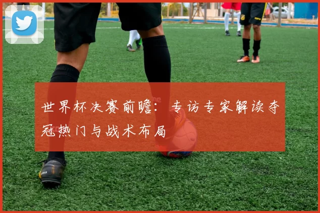 世界杯决赛前瞻:专访专家解读夺冠热门与战术布局