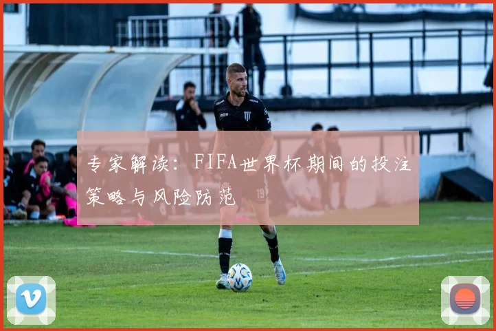 专家解读:FIFA世界杯期间的投注策略与风险防范