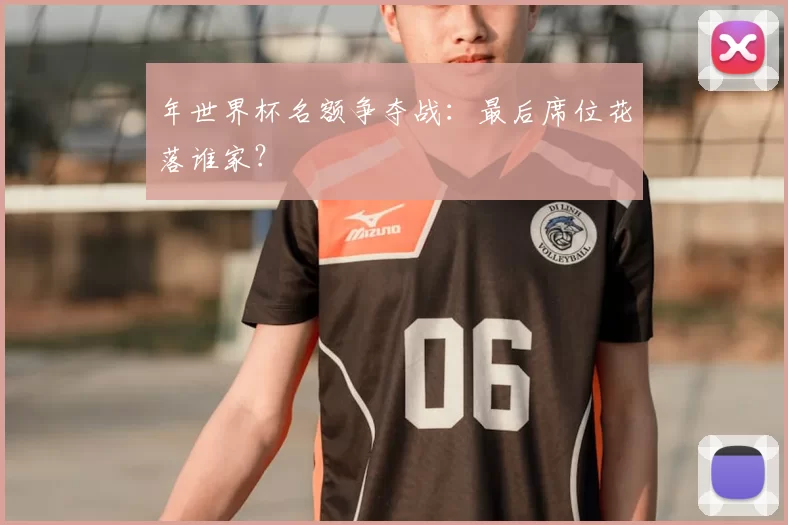 年世界杯名额争夺战:最后席位花落谁家?