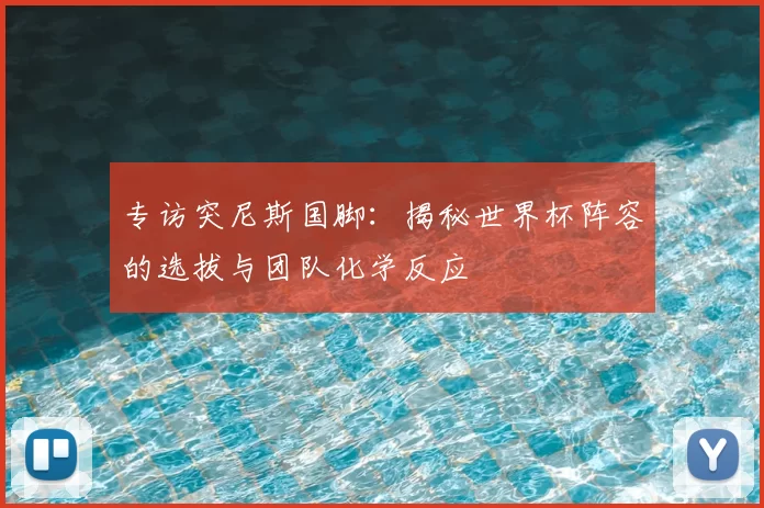 专访突尼斯国脚:揭秘世界杯阵容的选拔与团队化学反应