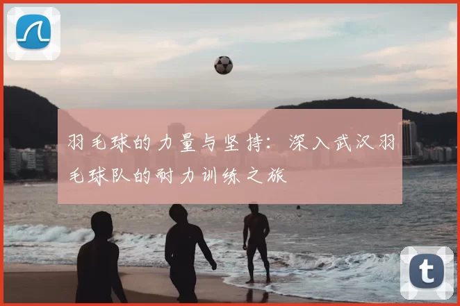 羽毛球的力量与坚持:深入武汉羽毛球队的耐力训练之旅